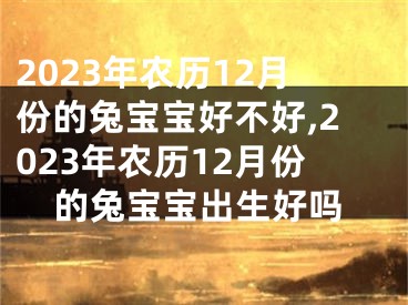 2023年农历12月份的兔宝宝好不好,2023年农历12月份的兔宝宝出生好吗