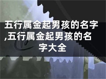 五行属金起男孩的名字,五行属金起男孩的名字大全