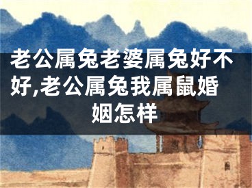 老公属兔老婆属兔好不好,老公属兔我属鼠婚姻怎样