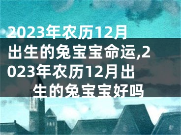 2023年农历12月出生的兔宝宝命运,2023年农历12月出生的兔宝宝好吗