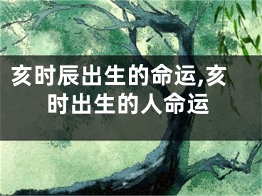 亥时辰出生的命运,亥时出生的人命运