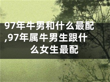 97年牛男和什么最配,97年属牛男生跟什么女生最配