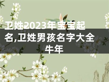 卫姓2023年宝宝起名,卫姓男孩名字大全牛年