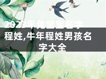 2023年兔宝宝名字程姓,牛年程姓男孩名字大全