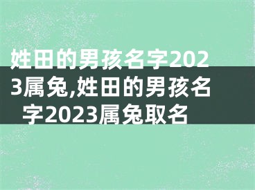 姓田的男孩名字2023属兔,姓田的男孩名字2023属兔取名