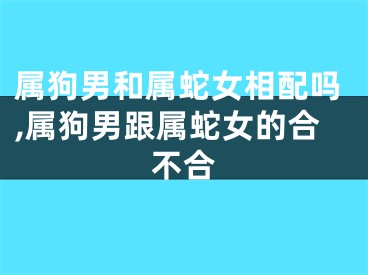 属狗男和属蛇女相配吗,属狗男跟属蛇女的合不合