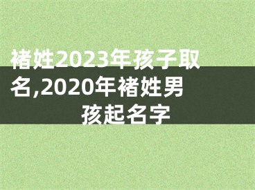 褚姓2023年孩子取名,2020年褚姓男孩起名字