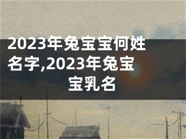2023年兔宝宝何姓名字,2023年兔宝宝乳名