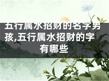 五行属水招财的名字男孩,五行属水招财的字有哪些