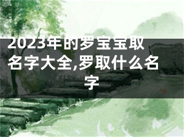 2023年的罗宝宝取名字大全,罗取什么名字