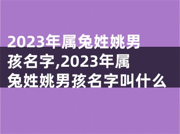 2023年属兔姓姚男孩名字,2023年属兔姓姚男孩名字叫什么