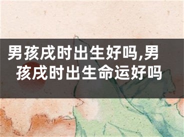 男孩戌时出生好吗,男孩戌时出生命运好吗