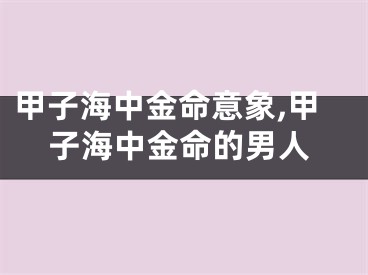 甲子海中金命意象,甲子海中金命的男人