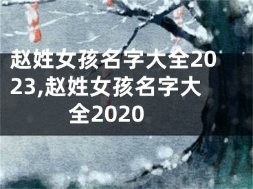 赵姓女孩名字大全2023,赵姓女孩名字大全2020