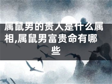 属鼠男的贵人是什么属相,属鼠男富贵命有哪些