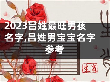 2023吕姓最旺男孩名字,吕姓男宝宝名字参考