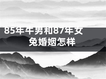 85年牛男和87年女兔婚姻怎样