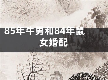 85年牛男和84年鼠女婚配