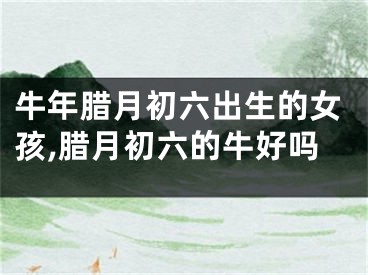 牛年腊月初六出生的女孩,腊月初六的牛好吗