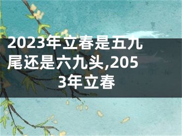 2023年立春是五九尾还是六九头,2053年立春