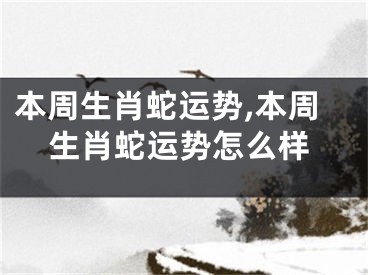 本周生肖蛇运势,本周生肖蛇运势怎么样