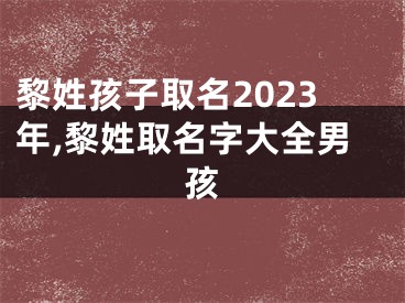 黎姓孩子取名2023年,黎姓取名字大全男孩