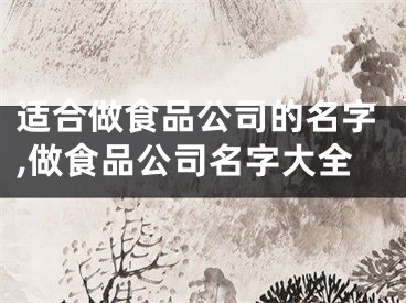 适合做食品公司的名字,做食品公司名字大全