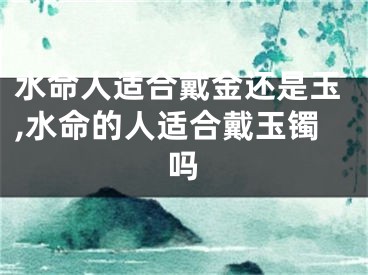 水命人适合戴金还是玉,水命的人适合戴玉镯吗