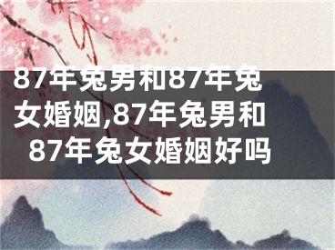 87年兔男和87年兔女婚姻,87年兔男和87年兔女婚姻好吗