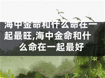 海中金命和什么命在一起最旺,海中金命和什么命在一起最好