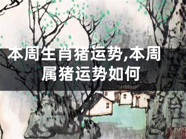 本周生肖猪运势,本周属猪运势如何