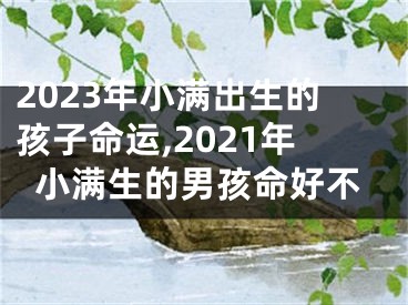 2023年小满出生的孩子命运,2021年小满生的男孩命好不