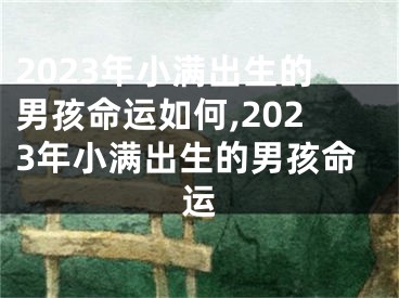 2023年小满出生的男孩命运如何,2023年小满出生的男孩命运