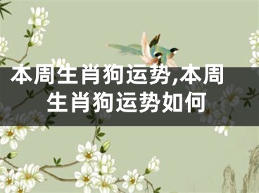 本周生肖狗运势,本周生肖狗运势如何