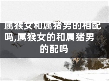 属猴女和属猪男的相配吗,属猴女的和属猪男的配吗