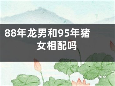 88年龙男和95年猪女相配吗