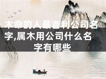 木命的人最吉利公司名字,属木用公司什么名字有哪些