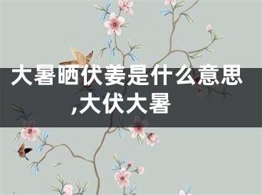 大暑晒伏姜是什么意思,大伏大暑