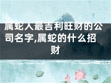 属蛇人最吉利旺财的公司名字,属蛇的什么招财