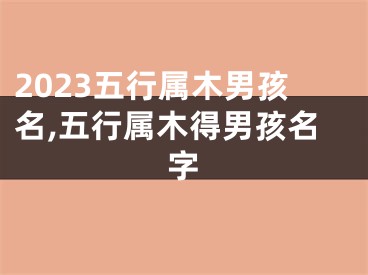 2023五行属木男孩名,五行属木得男孩名字