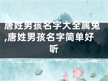 唐姓男孩名字大全属兔,唐姓男孩名字简单好听