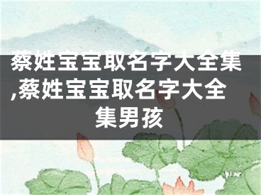 蔡姓宝宝取名字大全集,蔡姓宝宝取名字大全集男孩