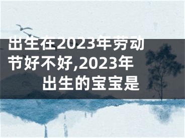 出生在2023年劳动节好不好,2023年出生的宝宝是