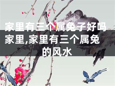 家里有三个属兔子好吗家里,家里有三个属兔的风水