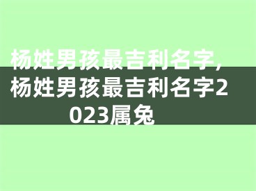 杨姓男孩最吉利名字,杨姓男孩最吉利名字2023属兔