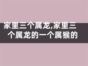 家里三个属龙,家里三个属龙的一个属猴的