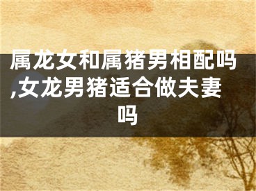 属龙女和属猪男相配吗,女龙男猪适合做夫妻吗
