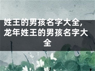 姓王的男孩名字大全,龙年姓王的男孩名字大全