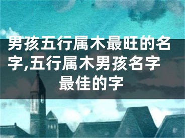 男孩五行属木最旺的名字,五行属木男孩名字最佳的字
