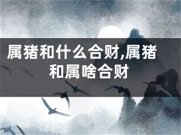 属猪和什么合财,属猪和属啥合财